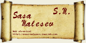 Saša Malešev vizit kartica